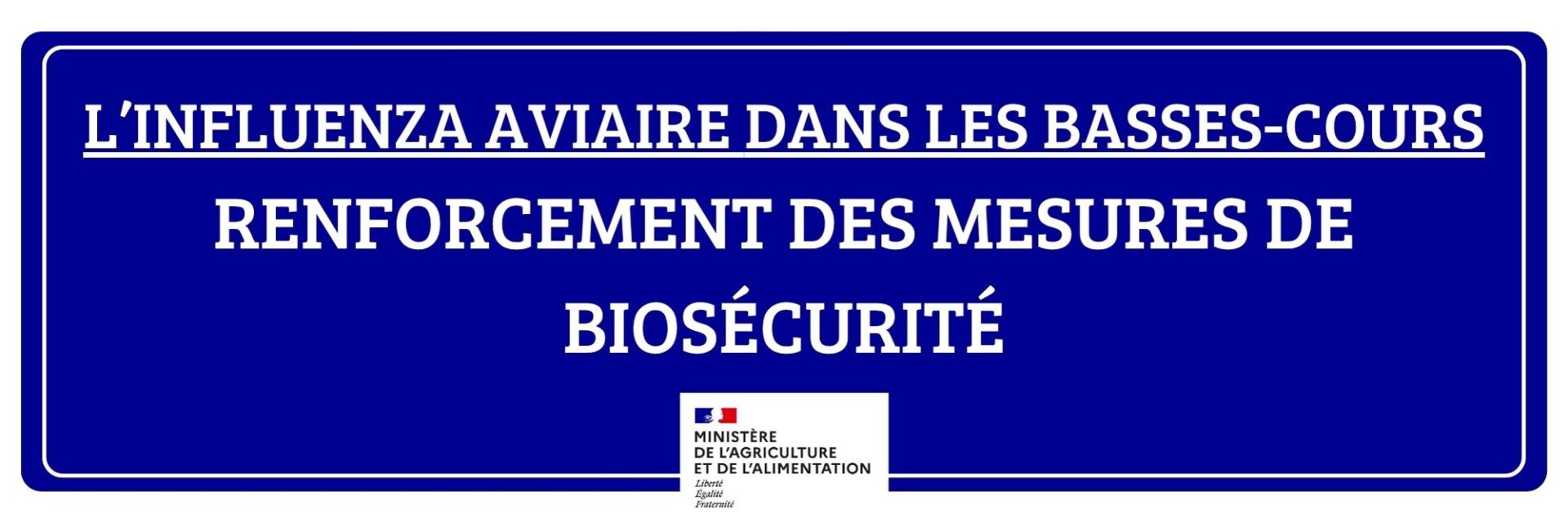 L’INFLUENZA AVIAIRE DANS LES BASSES-COURS